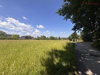 Prodej stavebního pozemku 2485 m2, obec Abrechtice u Českého Těšína, okres Karviná - IMG_8613.JPG