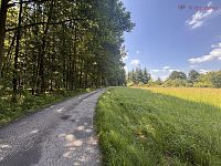 Prodej stavebního pozemku 2485 m2, obec Abrechtice u Českého Těšína, okres Karviná - IMG_8615.JPG