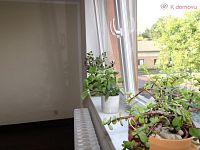 Pronájem bytu 1+1 , Zlín - ZP34.JPG
