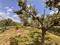 Prodej RD nebo chalupy k trvalému bydlení 2+1, Habrovany, okres Vyškov - IMG_8891.jpg