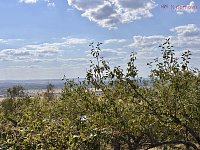 Prodej zahrady 639 m2, obec Samotišky, okres Olomouc - IMG_9555.jpg