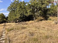 Prodej zahrady 639 m2, obec Samotišky, okres Olomouc - IMG_9557.jpg