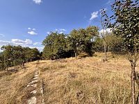 Prodej zahrady 639 m2, obec Samotišky, okres Olomouc