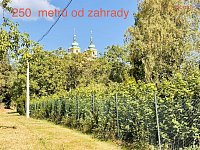Prodej zahrady 639 m2, obec Samotišky, okres Olomouc - IMG_9569.jpeg