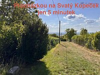 Prodej zahrady 639 m2, obec Samotišky, okres Olomouc - IMG_9572 (1).jpeg