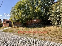 Prodej zahrady 639 m2, obec Samotišky, okres Olomouc - IMG_9576.jpeg