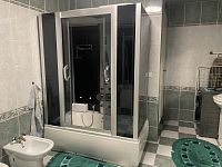 Prodej rodinného domu s garáží, zimní zahradou a bazénem na ulici Palkovická ve Frýdku Místku - IMG_8455.JPG