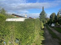 Prodej chaty se zahradou v obci Bílovec - Stará Ves - IMG_0338.JPG