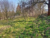 Prodáme stavební pozemek 900 m2, Markvartovice - H.jpg