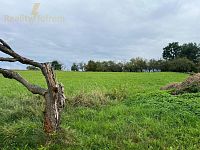 Prodej stavebního pozemku 1 632 m² – Příbor, Klokočov - IMG-20250917-WA0007.jpg