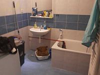 Pronájem bytu 2+kk, 72 m² – Ostrava Stará Bělá, ul. Junácká - WhatsApp Image 2026-05-25 at 10.45.46 (1).jpeg