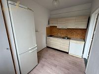 Prodej bytu 1+1, 33 m², osobní vlastnictví, Ostrava – Dubina, ul. Aloise Gavlase - 1.jpg