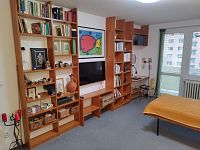 Zařízený byt 1+1 s balkónem v Brně blízko přehrady na ulici Fleischnerova - Foto 2