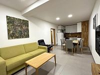 Pronájem zařízeného bytu 2+kk s terasou u Brněnské přehrady - Foto 2