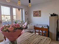 Prodej cihlového bytu 2+kk s terasou, Sedláčkova - Foto 2