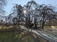 Prodej bytového domu, Lipník nad Bečvou - Foto 23