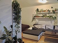 Nabízíme k dlouhodobému pronájmu nezařízený, částečně vybavený byt 1+kk, 42 m².  - DSCN9845a.jpg