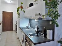 Nabízíme k dlouhodobému pronájmu nezařízený, částečně vybavený byt 1+kk, 42 m². 