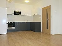 Pronájem cihlového bytu 2+kk s balkonem v Brně - Kamechách