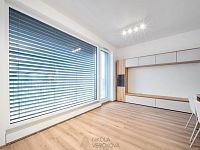 Pronájem bytu 3+kk, Brno, ul. Rybářská - 38.jpg