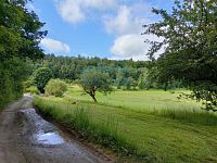 Prodej stavebního pozemku o velikosti 4292 m² v obci Skalka u Blíževedel - IMG20240606093106.jpg