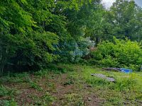 Prodej stavebního pozemku o velikosti 4292 m² v obci Skalka u Blíževedel - IMG20240606093255.jpg