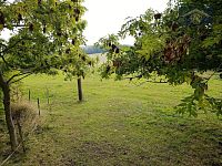 Prodej pozemků o velikosti 3539 m² v obci Mukařov u Úštěku, okres Litoměřice - 9.jpg