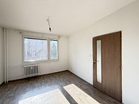 Pronájem bytu 1+1, zděné jádro, komora - IMG_8134.jpg