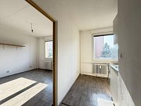 Pronájem bytu 1+1, zděné jádro, komora - IMG_8140.jpg