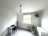 Pronájem bytu 3+1, zděné jádro, lodžie, sklep - IMG_1109.JPEG