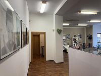 Podnájem nebytového prostoru 20m2, centrum města - IMG_2321.jpeg