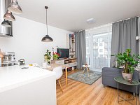 Pronájem zděného bytu 2+kk, balkon - Rokycanova-114.jpg