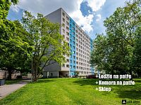 Prodej bytu 2+1, Gagarinova 386