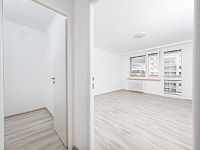 Pronájem bytu 1+1, lodžie, komora, sklep - Zavodu_Miru-110.jpg