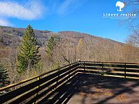 Prodej chaty 118 m2, pozemek 7226 m2 Tyra - Foto 13