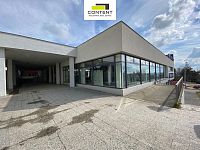 Pronájem multifunkčních industriálních prostor 380 m², Plzeň - Lochotín