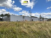 Pronájem skladu, výrobních prostor 5.000 m², Přimda - Mlýnec - Foto 5