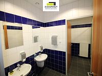 Pronájem skladu, výrobních prostor 16.000 m², Plzeň - Foto 19