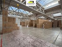 Pronájem skladu/výrobních prostor 22 300 m² - Týniště nad Orlicí - Foto 6