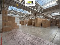 Pronájem skladu/výrobních prostor 22 300 m² - Týniště nad Orlicí - Foto 6