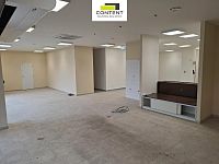 Pronájem obchodních prostor 250 m², Plzeň - Skvrňany