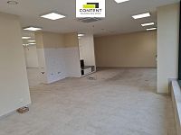 Pronájem obchodních prostor 250 m², Plzeň - Skvrňany - Foto 2