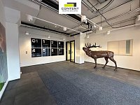 Pronájem skladu, výrobních prostor 435 m², Měšice, Praha-východ - Foto 10