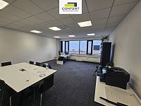 Pronájem výrobních prostor, skladu 20.748 m², Plzeň - Blatnice, D5 - Foto 11