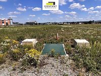 Pronájem zahradnictví 17.000 m² Nupaky, dálnice D1 - Foto 4