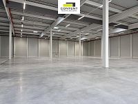 Pronájem skladu, výrobních prostor 8.727 m², Plzeň - Myslinka, D5 - Foto 5