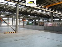 Pronájem výrobních prostor, skladu 4.465 m², Červený Kostelec, D11 - Foto 2