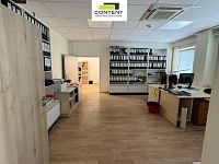 Pronájem skladu, výrobních prostor 23.569 m², Všechromy, D1 - Foto 11