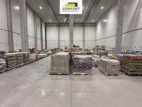 Pronájem novostavby skladu, výrobních prostor 1.000 m², Zdice, D5 - Foto 3