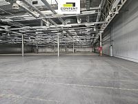 Pronájem skladu, výrobních prostor  9.800 m² Plzeň, Borská pole, D5